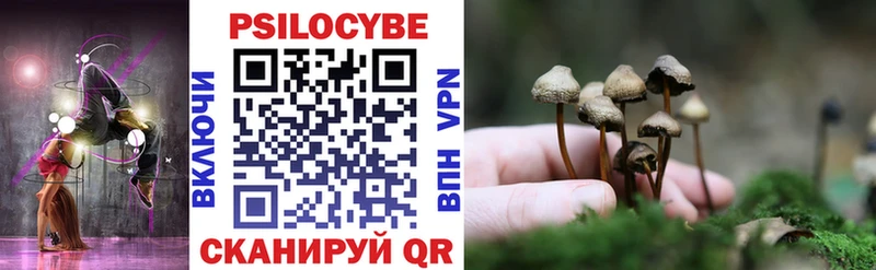 Галлюциногенные грибы мицелий купить Миасс